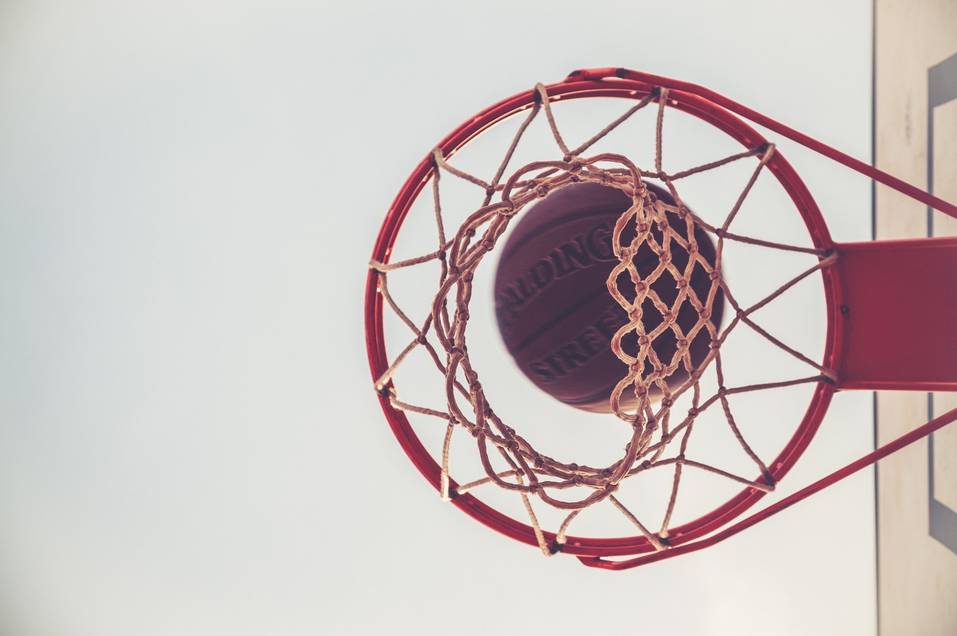 basketball net
